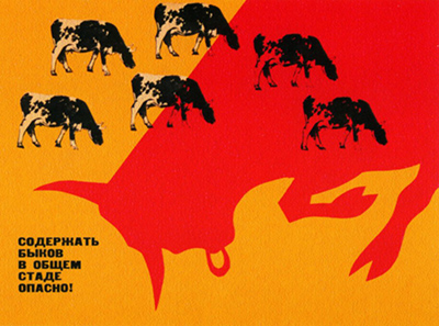 Плакат Содержать быков в общем стаде опасно!