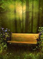 Скамейка в туманном парке