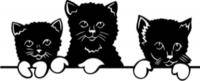 Наклейка для стен Черные Котята