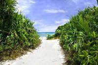 Дорога к океану в тропиках