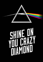 Pink Shine On You Crazy Diamond